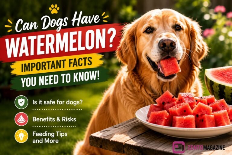 Can Dogs Have Watermelon With Seeds? Important Facts to Read can dogs have watermelon
